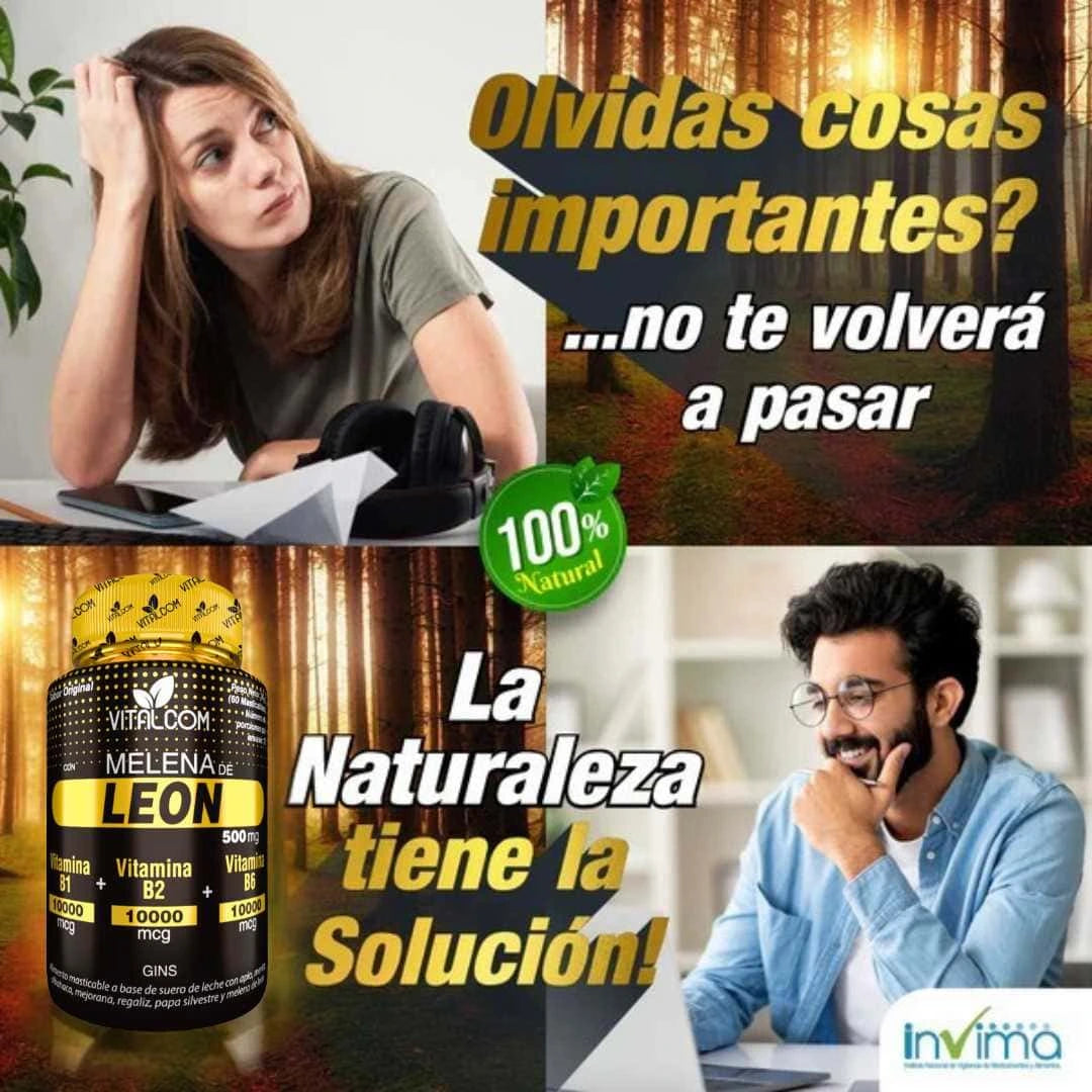Melena de León para tu mente: Energía, Enfoque y Memoria