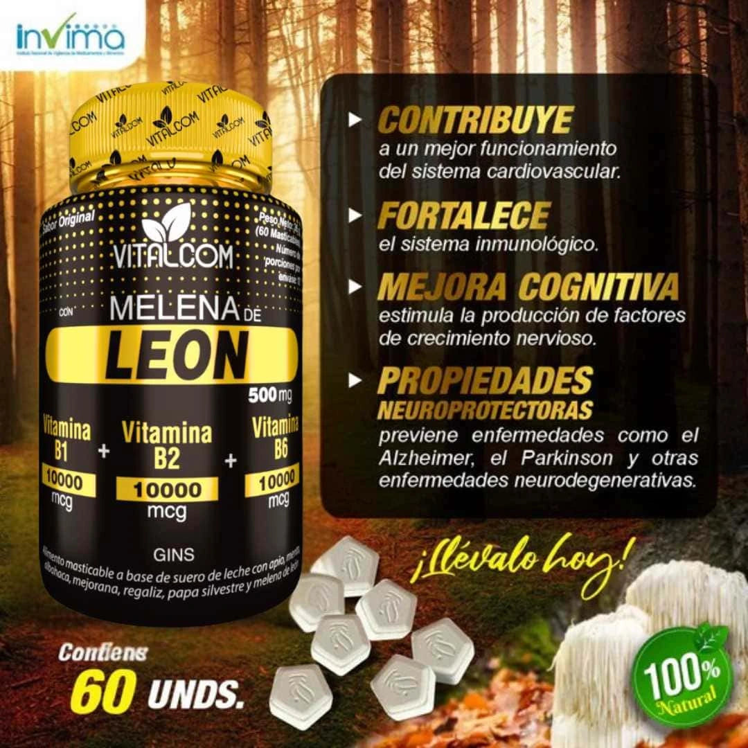 Melena de León para tu mente: Energía, Enfoque y Memoria