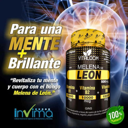 Melena de León para tu mente: Energía, Enfoque y Memoria