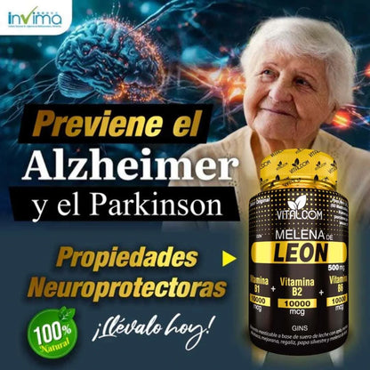 Melena de León para tu mente: Energía, Enfoque y Memoria